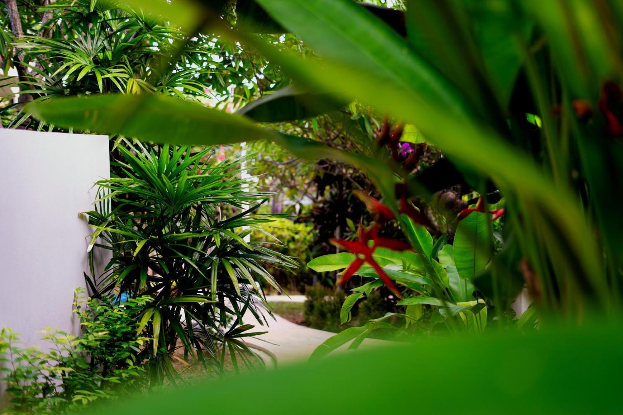 Orchid Lodge Samui - Bed & Breakfast Lamai Beach (Koh Samui) Exterior foto