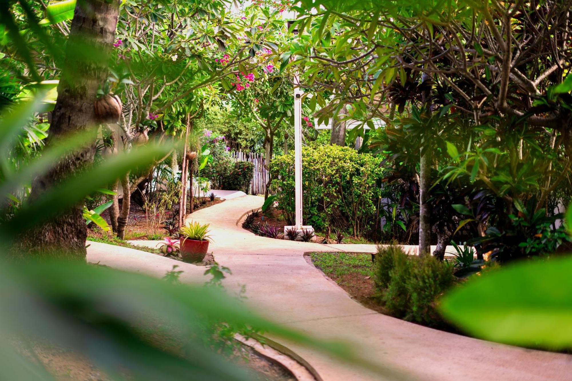 Orchid Lodge Samui - Bed & Breakfast Lamai Beach (Koh Samui) Exterior foto